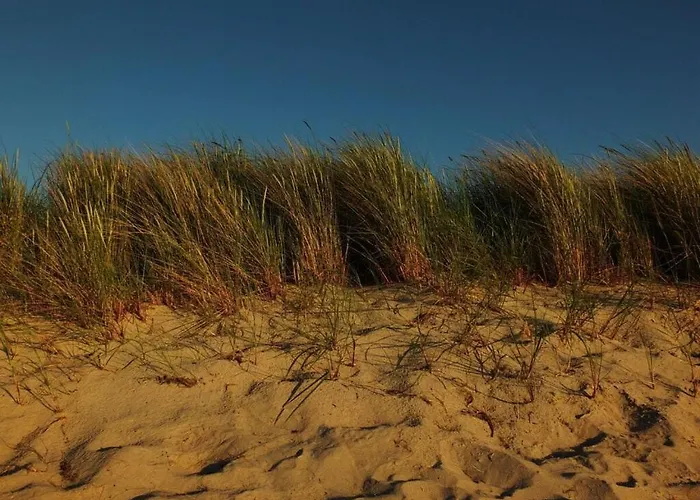 Strandgut Reethus Comfortable